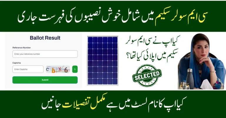 CM Punjab Solar Scheme Application Status